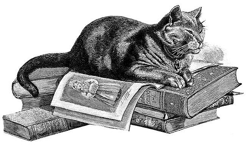 Cats like to read